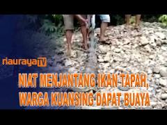 NIAT MANCING IKAN WARGA DI KUANSING MALAH DAPAT BUAYA